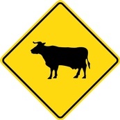 WC Series Cattle Crossing - Regulatory Signage Solutions U S A by B M R  Mfg Inc