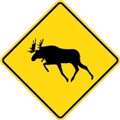 WC Series Moose Crossing - Regulatory Signage Solutions Peterborough by B M R  Mfg Inc